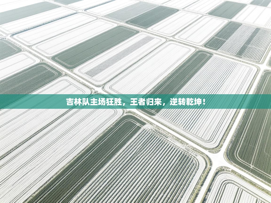 吉林队主场狂胜，王者归来，逆转乾坤！  第1张